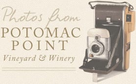 Photos from Potomac Point Vineyard and Winery