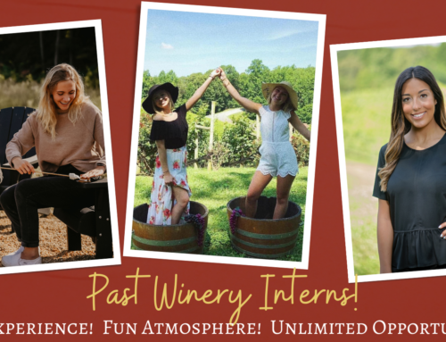 Internship Opportunity: Events, Marketing, and Hospitality at Potomac Point Winery
