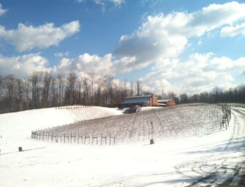 A Taste of Italy: As Seen on NBC4!