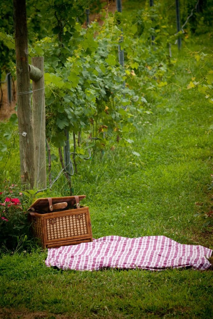 Picnics Potomac Point Winery