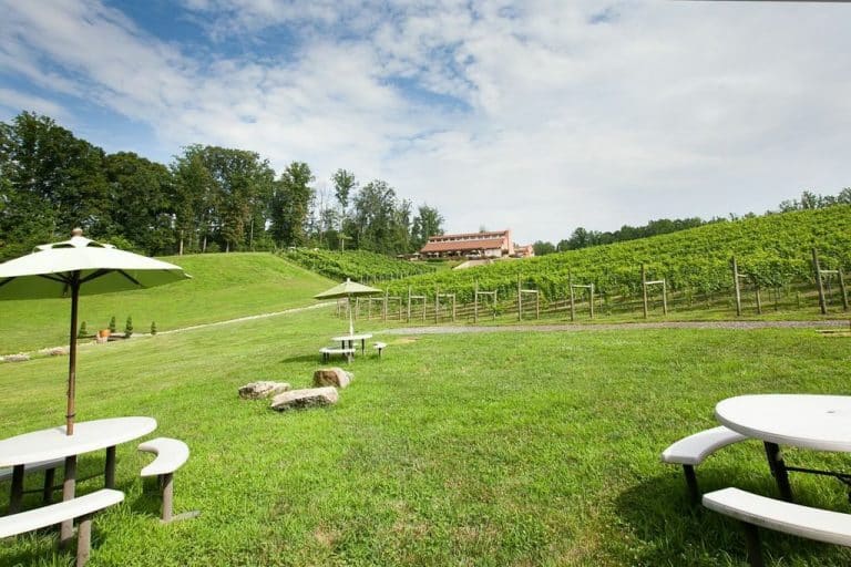 Picnics Potomac Point Winery