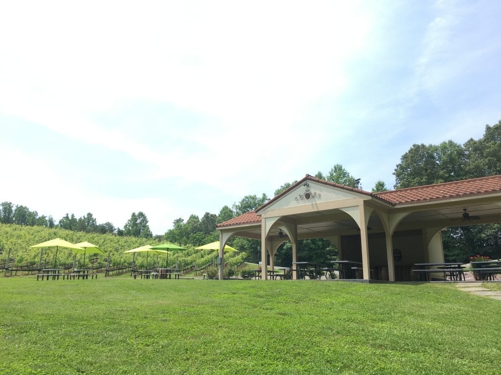 Picnics Potomac Point Winery