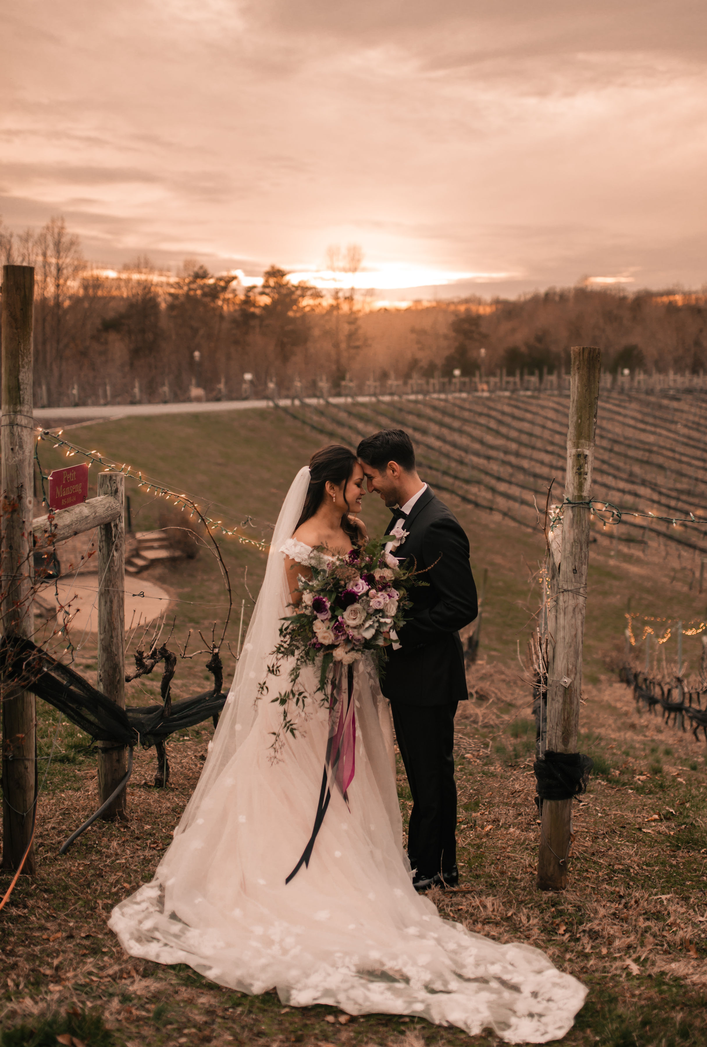 Views from the Hill Potomac Point Winery