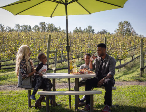 Picnicking at Potomac Point Winery