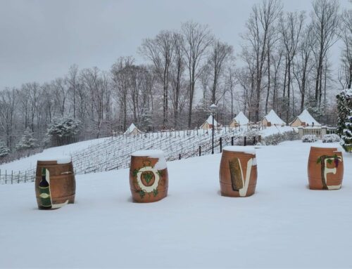 Snow is Falling, Wine is Calling: Your PPW Survival Guide