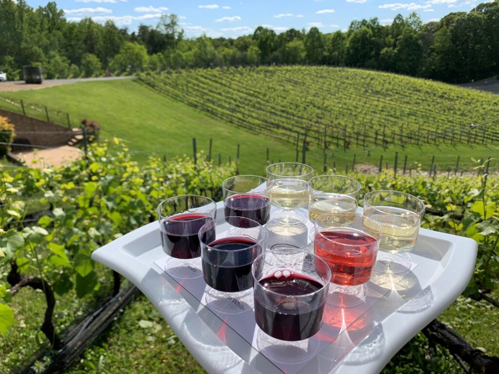 Take Flight with Us!