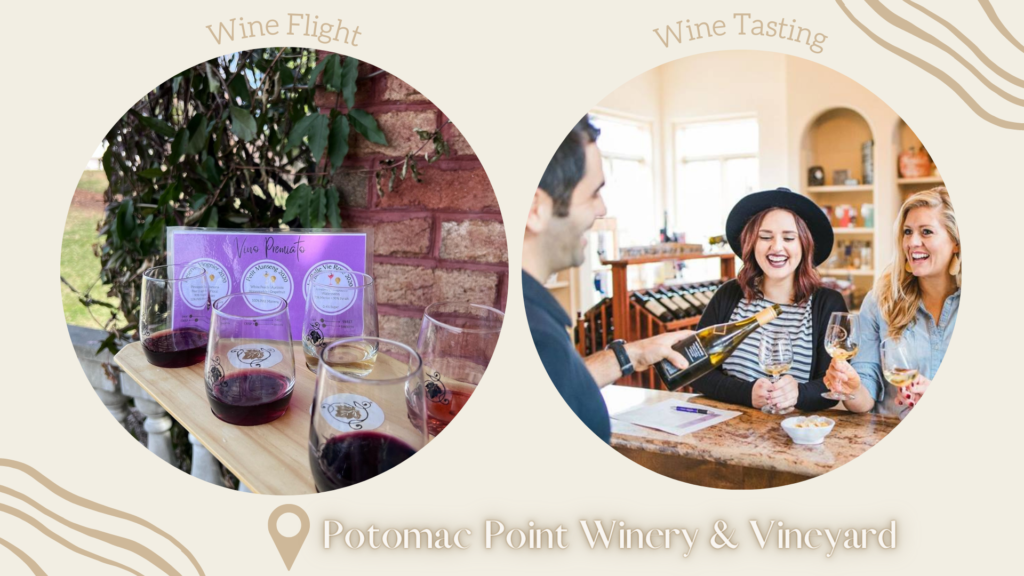 What is the difference between a Wine Flight and a Wine Tasting?