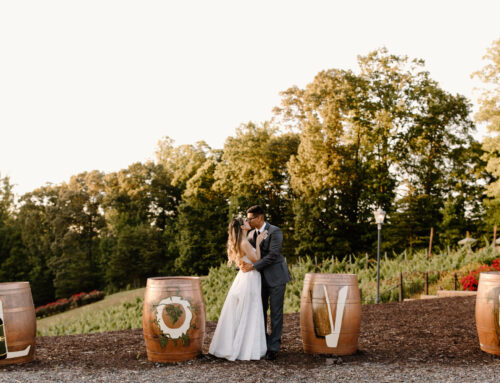 June Wedding Bliss at Potomac Point Winery