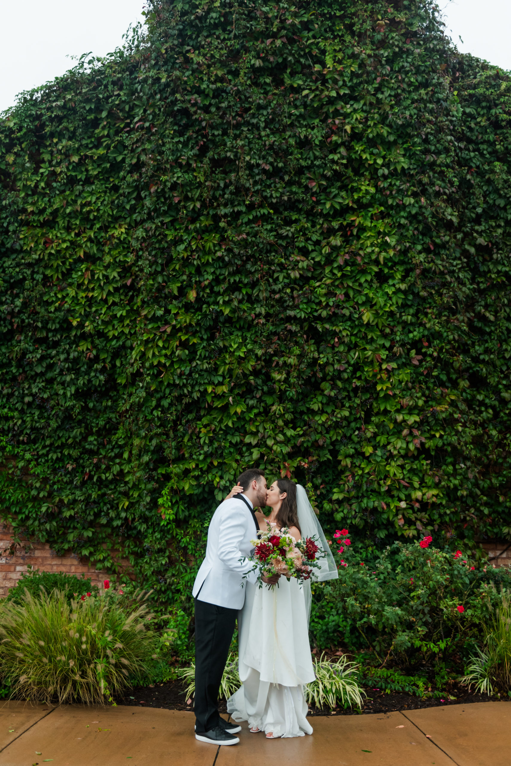 Ivy Wall Kiss