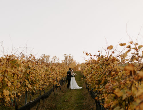 A Vineyard Love Affair: McKayla & Jared’s Sweet October Wedding