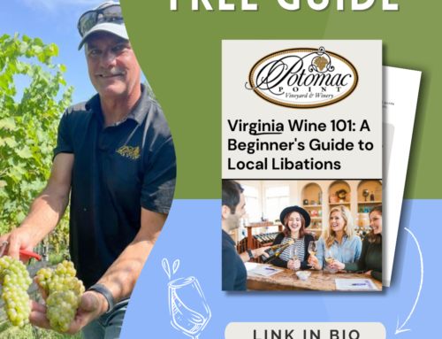 Virginia Wine 101: A Beginner’s Guide to Local Libations