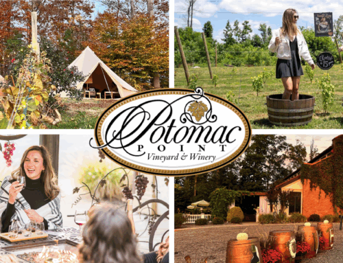 Fall at Potomac Point Winery: Harvest, New Menus & Festive Events