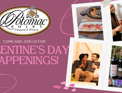 Love is in the Air at Potomac Point Winery: Valentine’s Weekend 2026