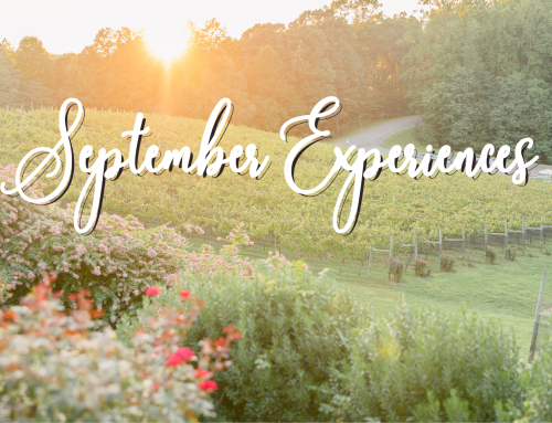 Sip, Savor, and Soak in September